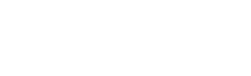 BlueRays Group